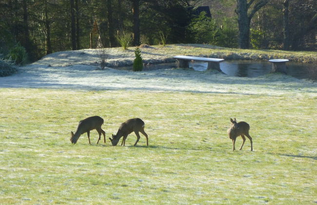 Torran View - Foto 26