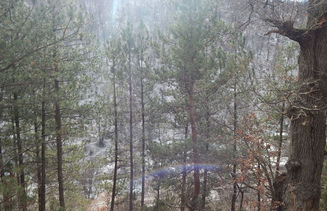 Arami Guesthouse - Photo 14