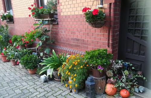 Ferienwohnung Hellriegel - Foto 20