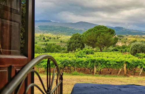 Suite in vigneto - Foto 1