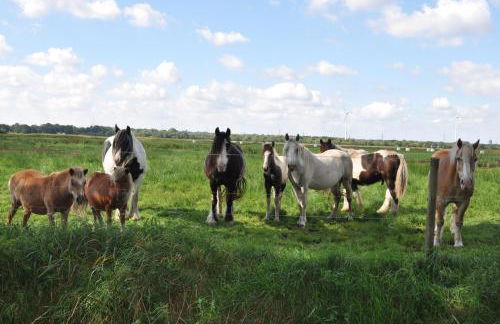 Elbhus Hamburg - Foto 98