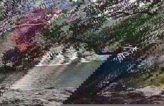 Araras Waterfall Tour - Foto 4