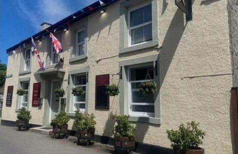 The Green Room - Photo 20