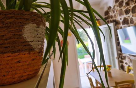 Lo Stazzo della Dottoressa - Foto 27