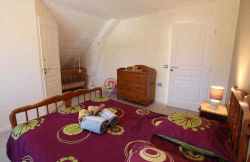 Les 3 Edelweiss - GITE 1 OU GITE 2 -maxi 10 personnes par gite- - Foto 11