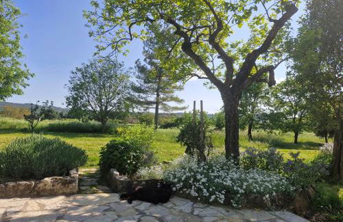 La Bastideta, - Foto 19