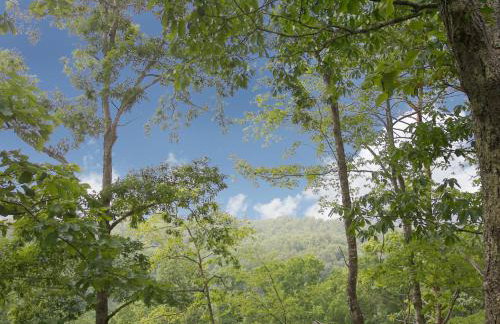 A Time to Remember by Eden Crest Vacation Rentals - Foto 36