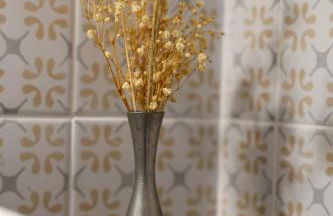 Le Clos André - Climatisation - Jardin - Chambord - Foto 43