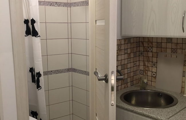 Studio apartment on 12 Liniya - Foto 44