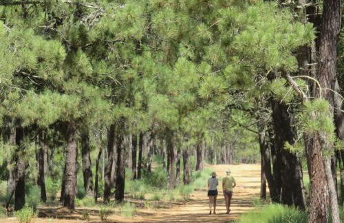 Seasun Vacation Rentals - BEACH - Foto 24