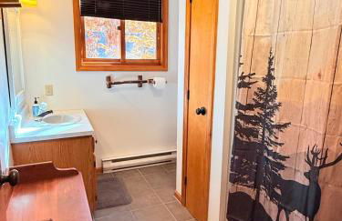 The Tinker Bell at Lake Winnipesaukee - Foto 24