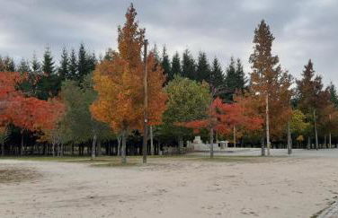 Casa do Terreiro - Foto 11