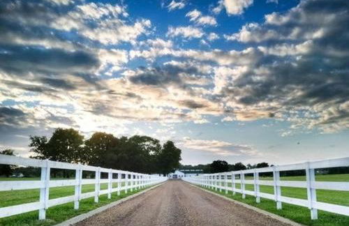 Gorgeous 5 Acre Estate Near Nashville! - F2 - Foto 46