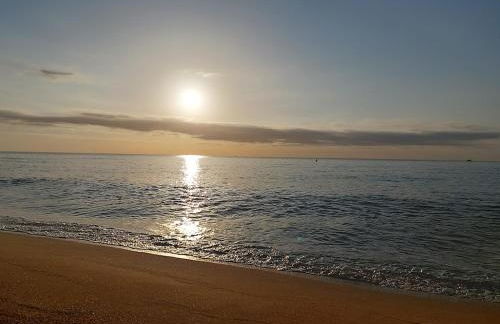 Oasis cerca de Barcelona - Photo 48