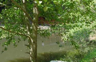 Gîte en bord d'étang et de rivière - Foto 32