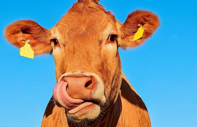 4 Person Holiday Home in Borlange - Foto 9