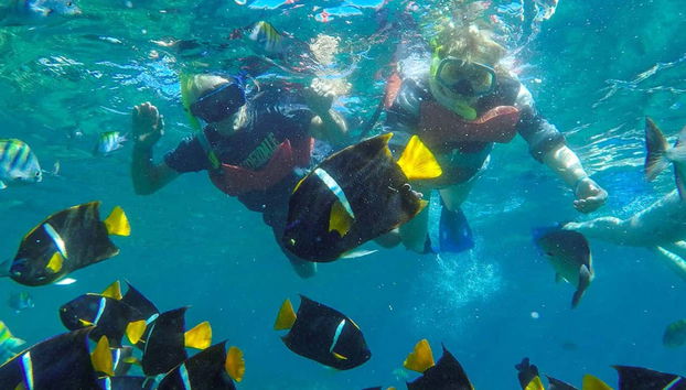 Las Caletas Excursion - Foto 5