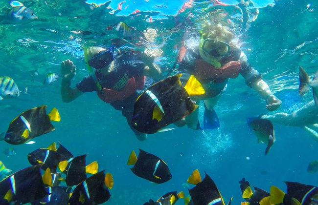 Excursion à Las Caletas - Photo 5