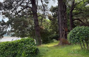 Benarth Lodge uniquely situated hideaway in Conwy - Foto 44