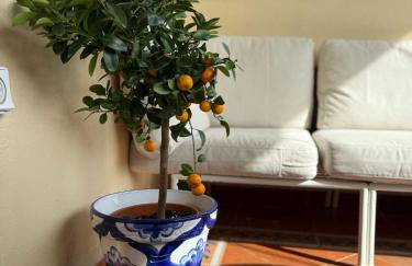 Apartmán Andalusie - Photo 78