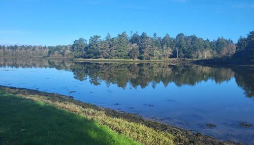 Charmant appartement avec jardin - Foto 4