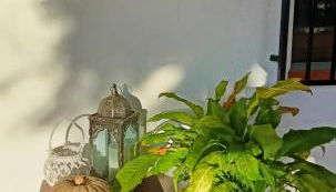 Casa Mariseta y Tonet, naturaleza a 2 km del mar - Foto 3