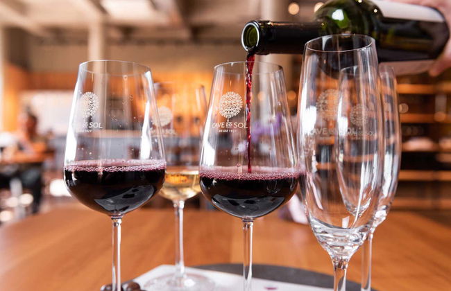 Tour del vino por el Vale dos Vinhedos - Foto 10