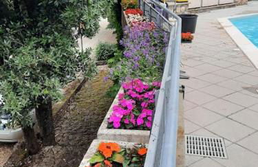 Relax vicino alle Cinque Terre - Foto 18