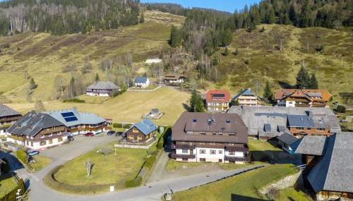 Galeriewohnung in Menzenschwand - Foto 5