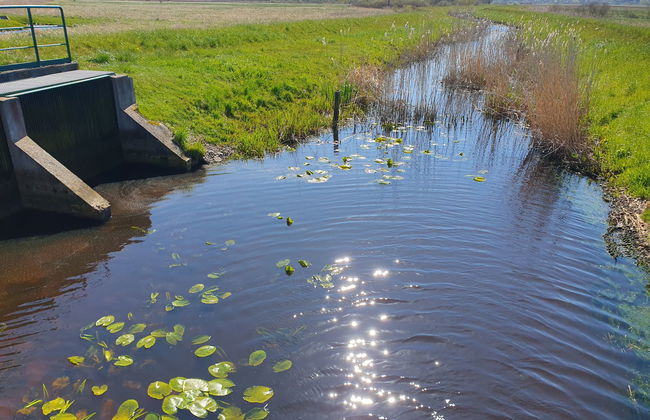 2 bedroom House in Smołdzino with garden and terrace - Foto 32