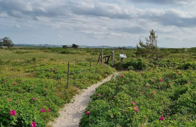 6 Person Holiday Home in Hojby - Photo 21