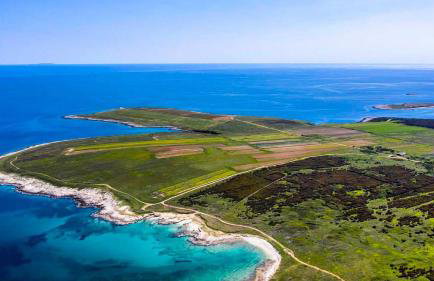 Villa Grande Arche Istria - Photo 11