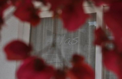 Atlas Apartments Ibiza - Foto 52