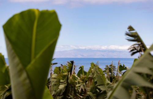 Wonderful vacation home Suites and pool - Foto 45