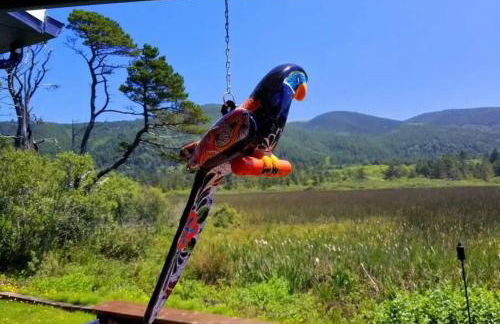 Tiki Escape w/ Amazing Mountain and Marsh Backdrop - Foto 18