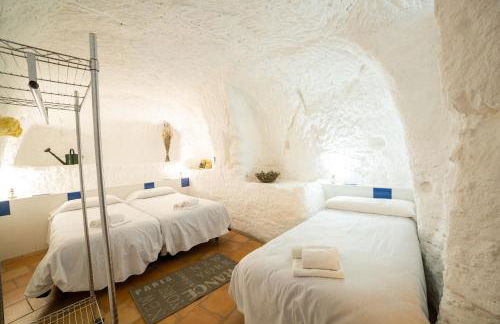 Cuevas de las Bardenas - Foto 57