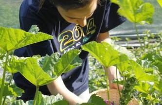 Agritur Agrihouse - Foto 31