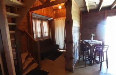 Pousada Flocos de Neve - Photo 68