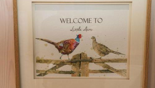 Little Acre - Foto 4