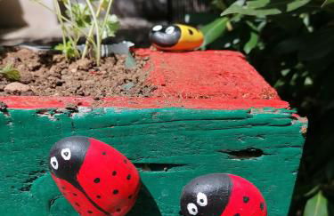 Entre Ciel et Terre - Foto 22