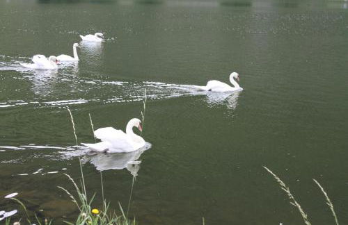 Moderne Ferienwohnung "Am Wald 2", ruhige Lage, viel Komfort, grosse Terrasse, - Foto 22