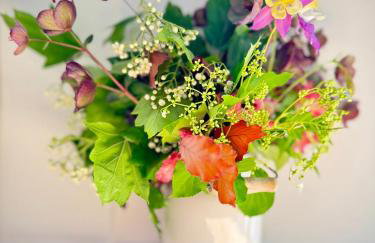 Sissinghurst Stables A comfortable country home in the Garden of England and just one hour from London - Foto 22