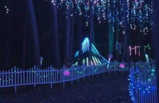 New Lakefront Getaway Private Hot Tub Min to DMC - Foto 45