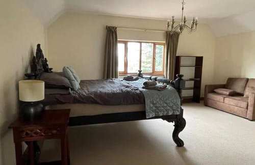 Spacious Home, 6 large bedrooms, full sky package, sleeps 14 - Foto 13