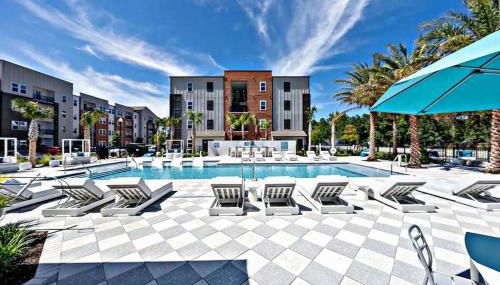 Modern 1BR Minutes to Mayo Clinic and Beach - Foto 4