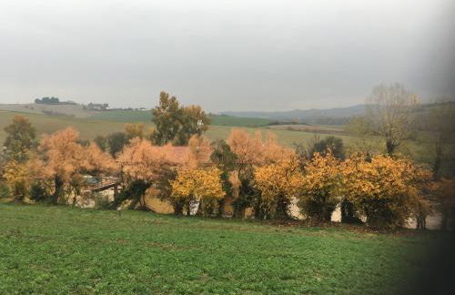 Agriturismo Fattoria del Colle - Foto 24