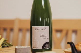 Töllhof Apartments and Farm - Foto 64