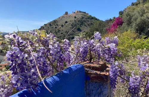 Bohemian Villa Malaga by PriorityVillas - Foto 5