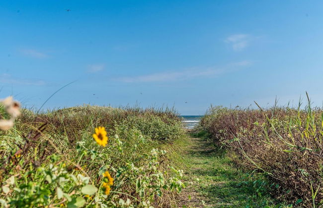 Cute Beach Bungalow Walk to the Beach - Foto 22