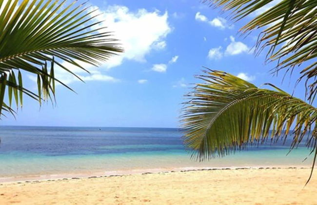 Louisa Aparthotel Las Terrenas - Foto 55